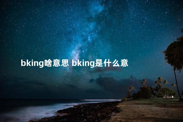 bking啥意思 bking是什么意思